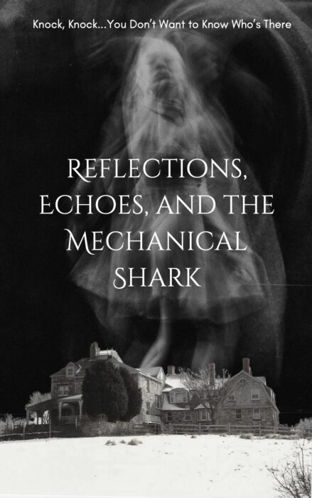 Reflections, Echoes, and the Mechanical Shark